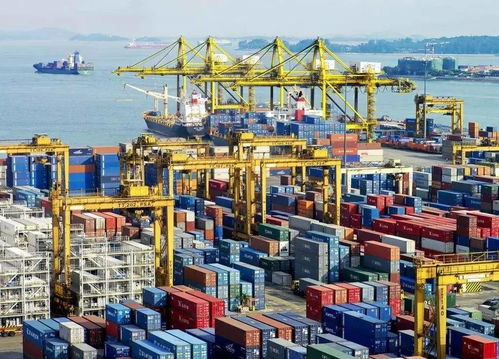 中欧班列除外,其余出口货物一律停装 国际物流爆仓崩溃