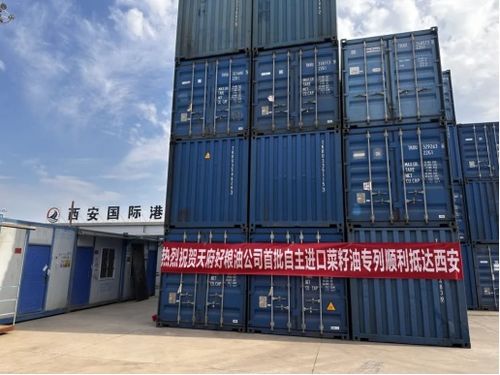 2024年天府好粮油公司 多元驱动,多维布局,引领粮油产业新航向