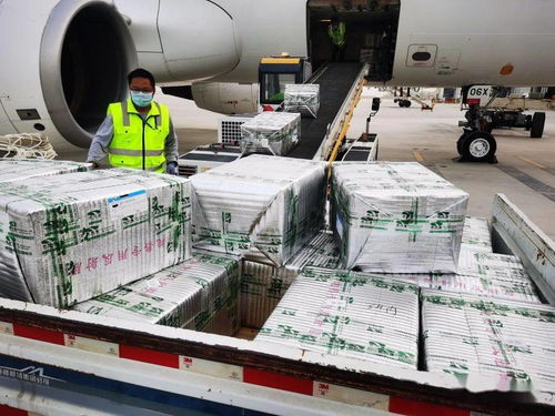 乌鲁木齐国际机场国际货运业务全面恢复运营