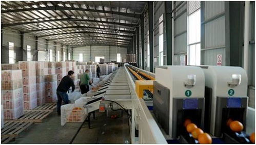 中国减贫四十年 研究报告 中国超5 就业岗位来自电商