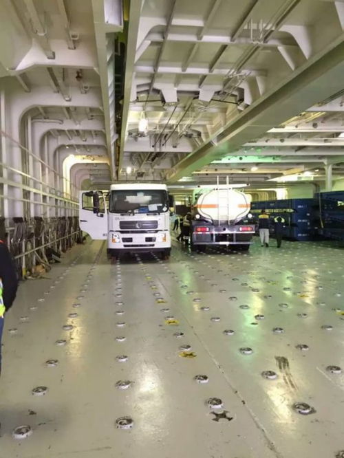 特殊物品清关哪家公司好