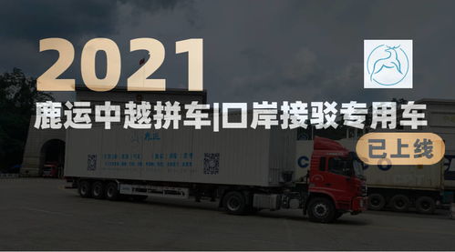 东盟国际物流公司哪家比较好