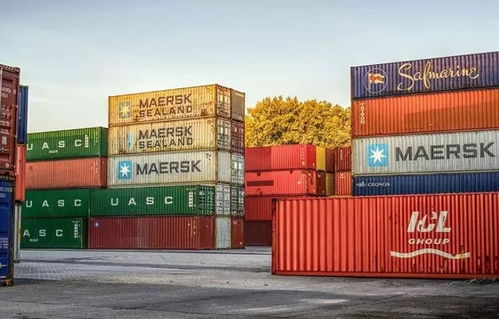 项目介绍 诺曼底高商老牌王牌专业 国际物流与港口管理