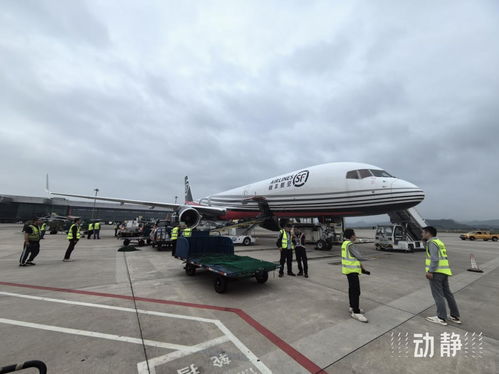 贵阳往返印度的两条国际货运航线今年运送货物近1000吨