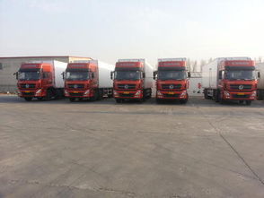 宁波至成都物流专线与国际物流服务解析